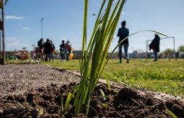 Día Internacional de la Madre Tierra