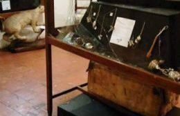 Mucho más que un simple robo al Museo