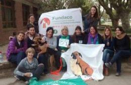 Jornada de castraciones solidarias