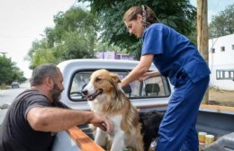 Más de 680 mascotas fueron inmunizadas en la primera semana de la campaña de vacunación antirrábica