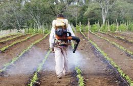 El Concejo aprobó la creación de la Mesa de Estudios para la Regulación de Agroquímicos