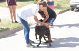 Gallo Blanco: comienza la vacunación antirrábica para mascotas