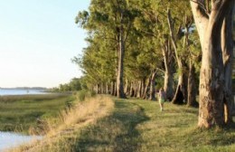 Día Mundial de los Bosques