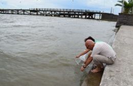 Se sembraron 5 mil alevinos en nuestra laguna