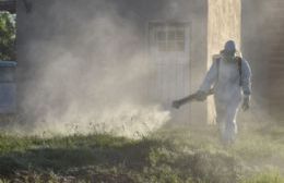 Aclaran que la fumigación "sólo reduce la población del mosquito adulto que transmite el dengue"