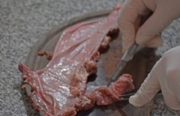 Chascomús adhiere a la Semana de la Lucha contra la Triquinosis