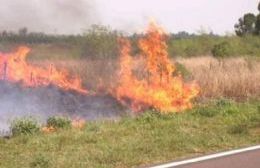 Dos salidas de bomberos por incendio de pastizales