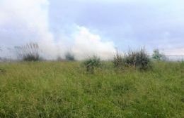 Cuatro incendios de pastos y ramas en un puñado de horas