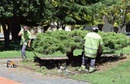 El 147 es el nuevo servicio telefónico de atención al vecino