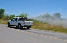 Tareas de fumigación para prevenir el Dengue y otras enfermedades