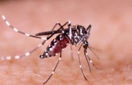 "El dengue está presente y necesitamos que la comunidad no se relaje con las medidas de precaución"