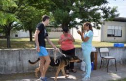 Trabajo articulado entre Bromatología y APACH