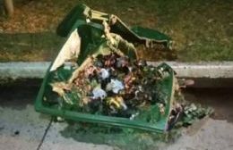 Esclarecen caso de vandalismo en Pila
