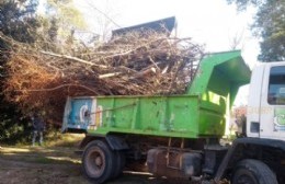 Gran operativo de limpieza y saneamiento en el Barrio Parque Girado