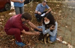 Campaña de vacunación antirrábica: fueron inmunizadas 2600 mascotas