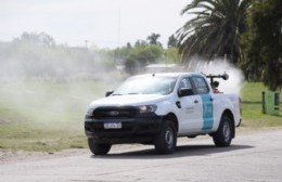 Fumigación y control de plagas en espacios públicos de la ciudad