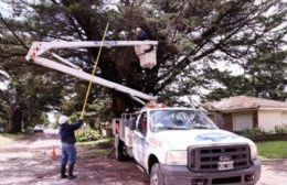 Varias horas sin luz por un desperfecto