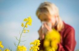 Cómo disminuir las alergias en primavera