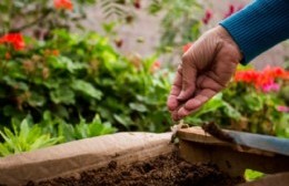 Entrega de semillas primavera-verano del programa Pro Huerta