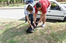 Se confirmó que tenía rabia el murciélago hallado en Gallo Blanco