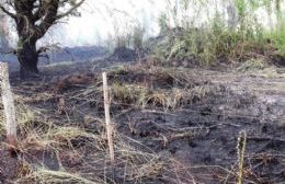 Incendio de pasto y plantas a metros de la Autovía 2