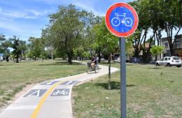 Bicicleteada por el ambiente