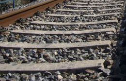 Nueva fecha para la movilización por el regreso del tren