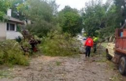 Intervenciones de Defensa Civil con motivo del temporal