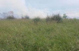 Incendio de pastizales en camino vecinal