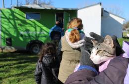 Castraciones gratuitas de mascotas en el Barrio El Algarrobo