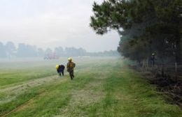 Dos incendios de pastos en un kilómetro de la Ruta 20 y casi en simultáneo