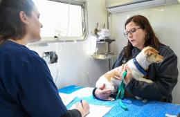 Continúa el programa de castración gratuita de mascotas