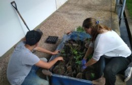 Donarán 75 ejemplares de árboles nativos para quienes deseen plantar en su domicilio