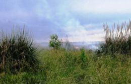 Incendio de pastos en Rocamora y Davalos