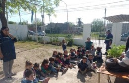 Actividad con los más pequeños para fomentar la huerta en casa