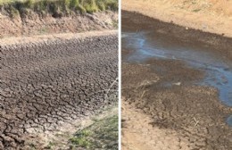 La Comisión de Emergencia Agropecuaria se reunió para analizar la situación de sequía