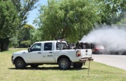 Trabajos de fumigación en espacios verdes