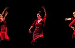 Noche de flamenco en la Biblioteca Popular Sarmiento