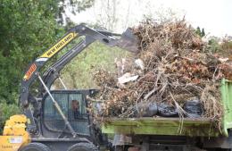 Tareas de limpieza y saneamiento en los barrios Los Sauces, Obispado y San Luis