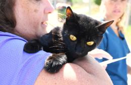 Vacunaci&oacute;n antirr&aacute;bica: 650 mascotas ya fueron inmunizadas