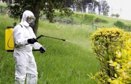 "No se deben utilizar herbicidas para desmalezar terrenos y jardines"