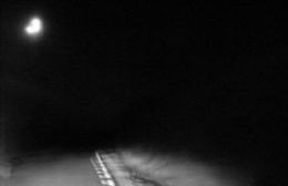 Vecinos aseguran haber visto un "fantasma" en la Ruta 2