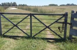 Robo en el establecimiento rural "La Campana"