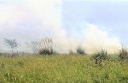 Los bomberos sofocaron cinco incendios de pastos en la jornada del domingo