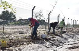 Plantación de 40 árboles en el basural municipal