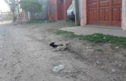Que arreglen las calles sí, que rompan los caños no