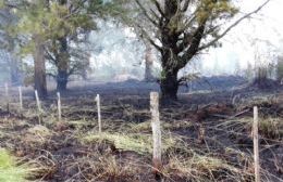 Incendio de pasto y ramas en el Camino de Circunvalación