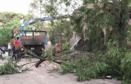 El derrumbe de un comercio abandonado impide el normal tránsito por calle Crámer
