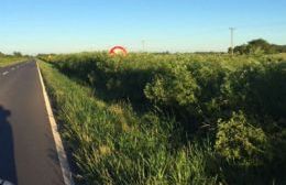 Si van para el lado de Ranchos por la Ruta 20… ojalá que les funcione el GPS