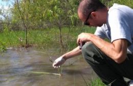 Recomiendan extremar cuidados para evitar la proliferación de mosquitos